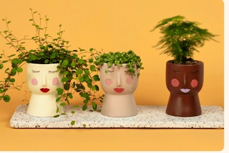 Ceramic Face Planter